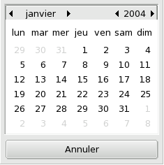 Figure 6.4 : Calendrier de sélection d'une date